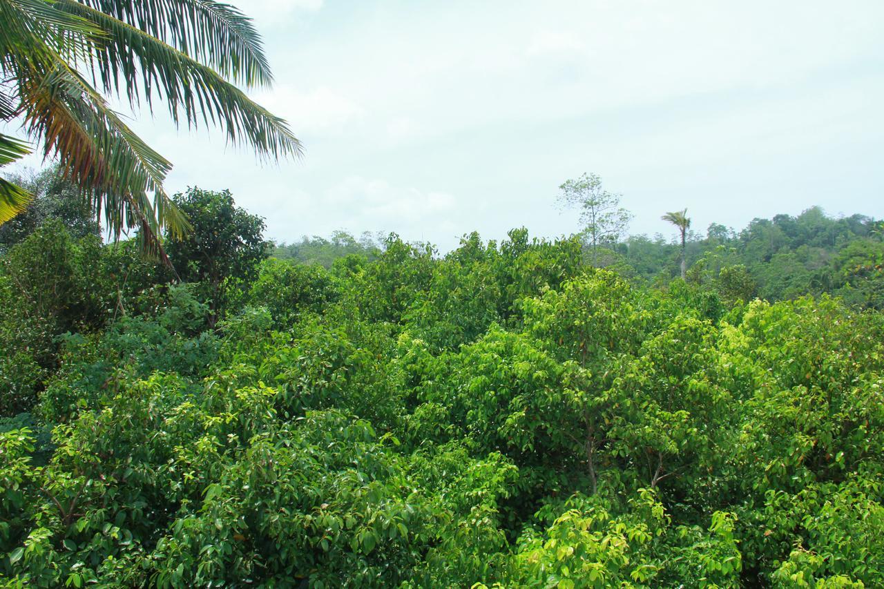 Villa Mirissa Eco Hills Esterno foto