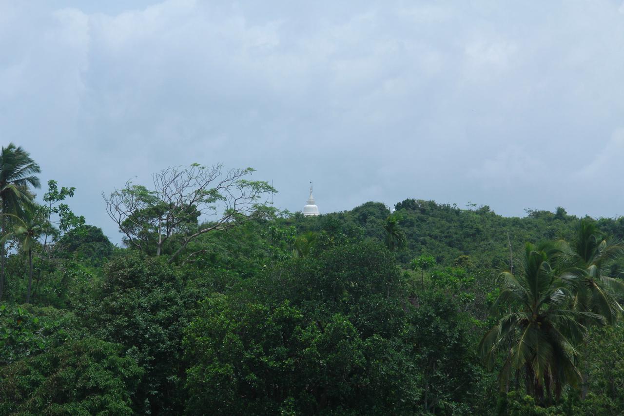 Villa Mirissa Eco Hills Esterno foto